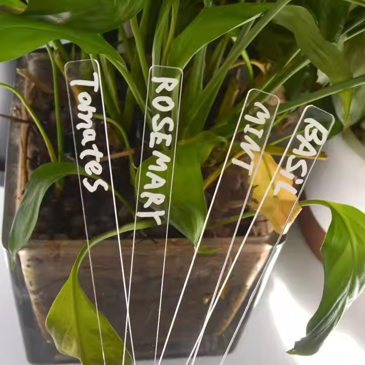Custom Transparent Acrylic Plant Markers for Outdoor and Indoor Gardens