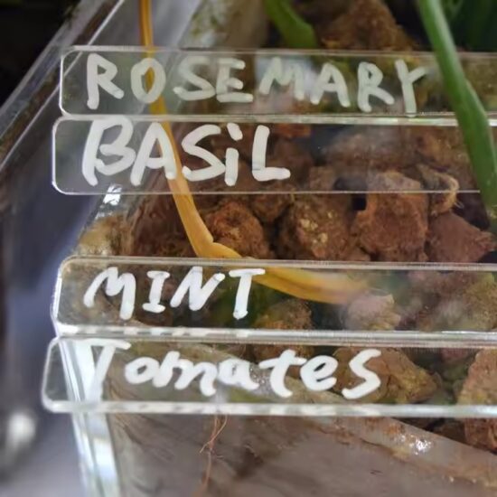Custom Transparent Acrylic Plant Markers for Outdoor and Indoor Gardens