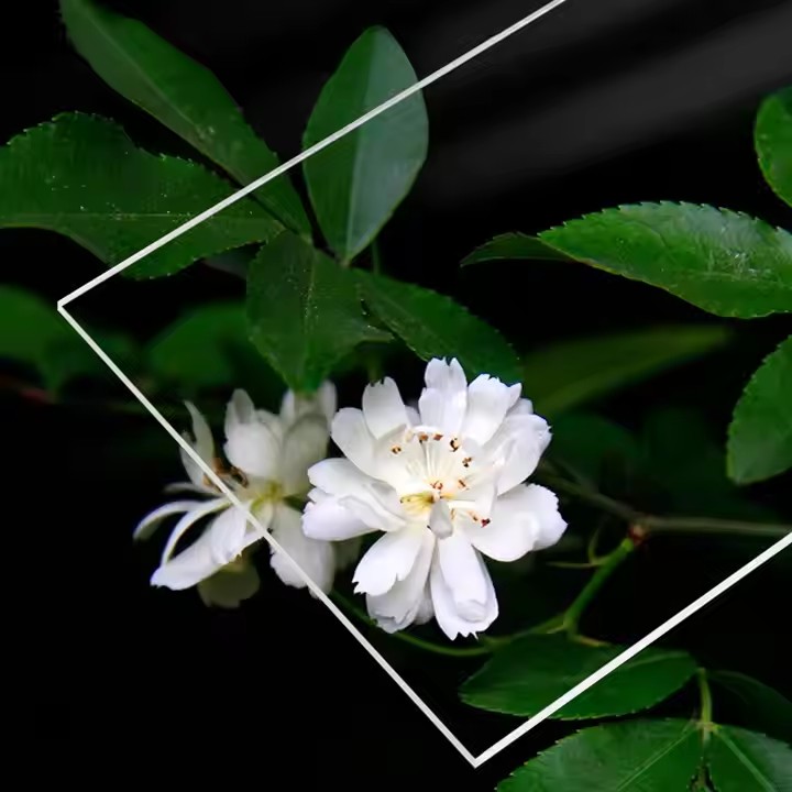 Scratch-Resistant Clear Acrylic Sheet for Durable Protective Use