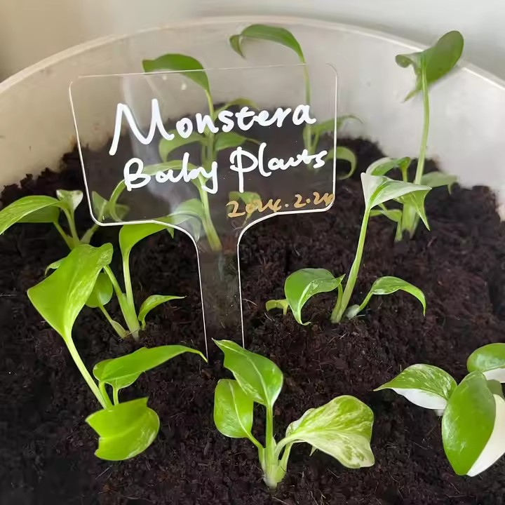 Clear Waterproof Acrylic Garden Plant Tags