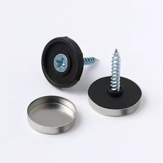 Stainless Steel Decorative Screws for Acrylic Sign Mounting