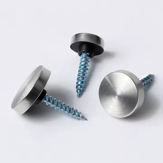Stainless Steel Decorative Screws for Acrylic Sign Mounting