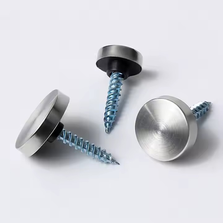 Stainless Steel Decorative Screws for Acrylic Sign Mounting