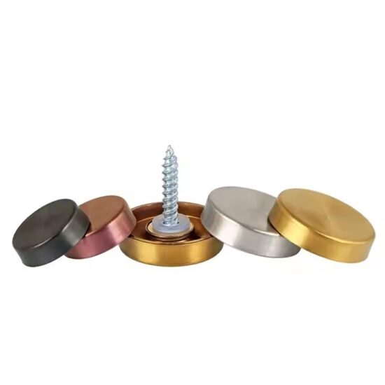 Stainless Steel Decorative Screws for Acrylic Sign Mounting